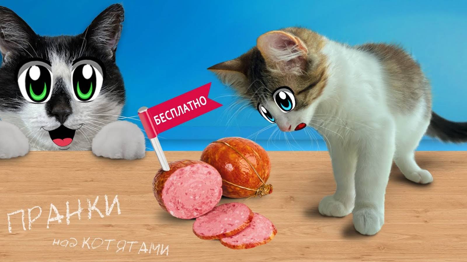 ПРАНКИ НАД КОТЯТАМИ! СМЕШНЫЕ КОТИКИ ЮГИ и ЯНИ РАЗЫГРАНЫ! КОТ МАЛЫШ и КОШКА МУРКА А НУ КА ДАВАЙ КА