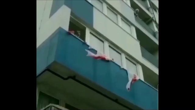 Братья из Гримбси. Ты в Гримсби понял?! Прикол с собакой смотреть онлайн