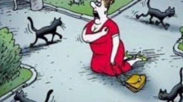 Группа Браво песня  Черный кот моя версия кавер.