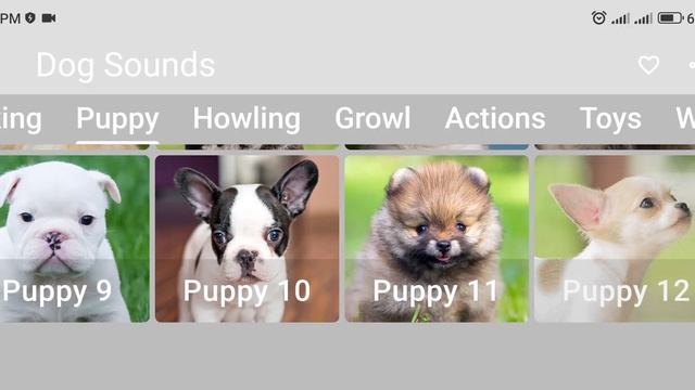 dog Barking Sound  Звуки собак  Лаем собак  Dog Barking  Dog Bark