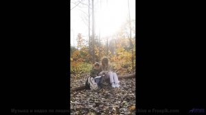 Лес превращается в сказку, стоит лишь включить звук - Solitaire -- Nihilore -- Best of 2020-2024