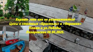 Хорошо ,что они не размножаются! Цены в столовых Бристоль и Окрошка. Пляжи и ул.Победы! 30.05.25
