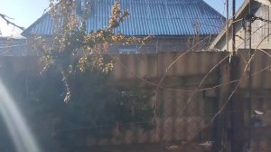 ЗАПОРОЖЬЕ. ШУМНАЯ НОЧЬ. А ПУЛИ ЛЕТЯТ, ПУЛИ.САФАРИ НА ДР?