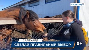 Экскурсия на лошадиную ферму