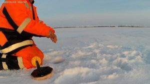 Ловля щуки на жерлицу