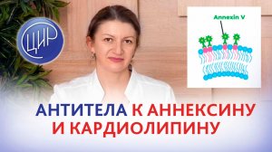 Антитела к аннексину и к кардиолипину в 15 недель беременности - это опасно?