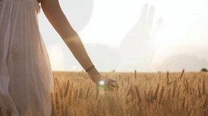 песня ЖДЕШЬ