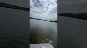 Лодка Ресурс: тест скорости, управляемости и комфорта.