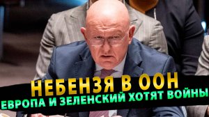 Небензя в ООН! Европа и Зеленский хотят войны!