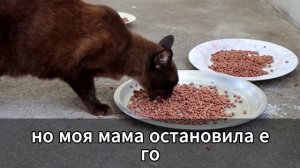 Мои родители выгнали меня сразу после школы и мне приш