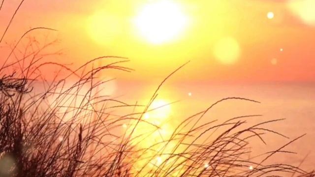 Солнышко ты моё ясное, где ты ? Гитара #гитара #солнышко смотреть онлайн