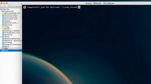 КАК СТАТЬ ХАКЕРОМ В 2025? Полный гайд!