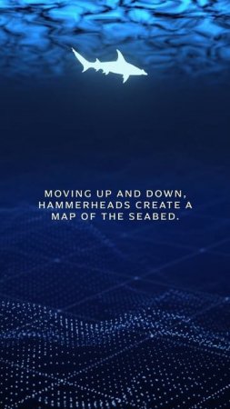 Paper maps are out, magnetic maps are in  | OceanXplorers