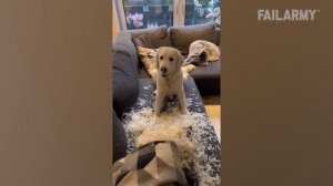 Messy Bedroom Alert | Fails Of The Week