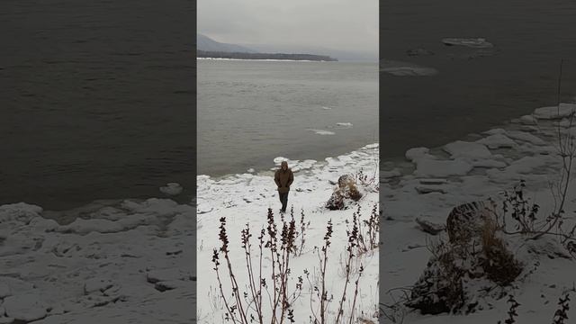 Наш хозяин совсем страх потерял! Сам хулиганил и собакам разрешил - пока я отвлеклась на #игрушки смотреть онлайн