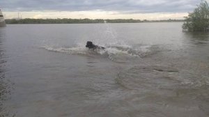 VID_20250530_191653.mp4