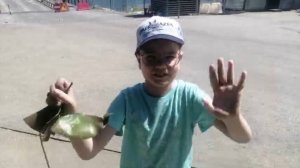 Зеленый остров в Липецке, центральный пляж. 30-05-2025