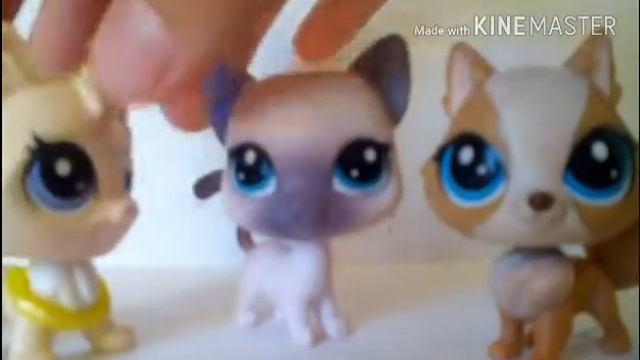 /Трейлер к сериалу "Третий лишний"/ смотреть онлайн