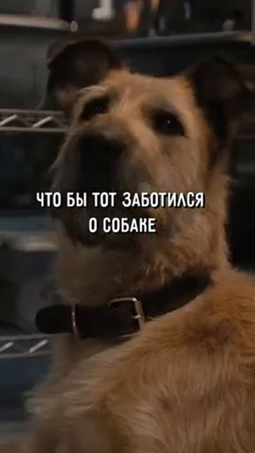 Новые фильмы, которые выйдут в ноябре #красноеуведомление #финч #вечные смотреть онлайн