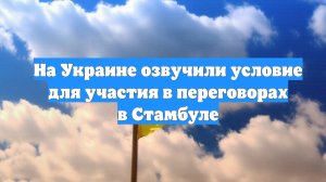 На Украине озвучили условие для участия в переговорах в Стамбуле