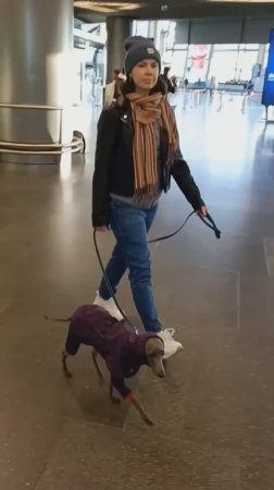 Ожидание/реальность