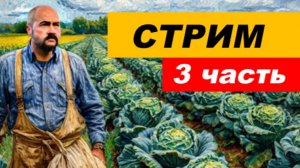 ⚡ Вечерний СТРИМ (3 часть)