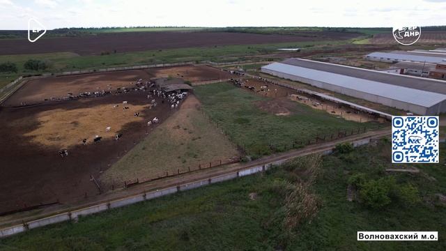 Андрей Мацегора о реализации партийного прокта Российское село