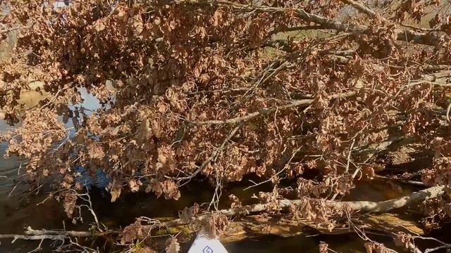 Серёжа на SUP доске на реке Серёжа HD