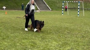 2 О/Отл. VARVARA Arbeit's Aristokraten +++ №132 / КЧК+ БОРИСОВ (BY) 17 мая`25 M.Jovovic Моно нем.ов