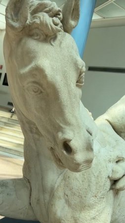 Вы в безопасности. Лев на Капитолийском холме в Риме. Психологический туризм.