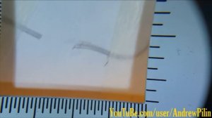 Строгание Волоса после заточки Ножа.