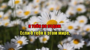 Тимир Тимиров  Моя женщина (караоке)