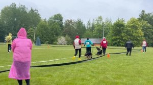 БЕБИ СУКИ / КЧК+ БОРИСОВ (BY) 17 мая`25 M.Jovovic Моно немецких овчарок