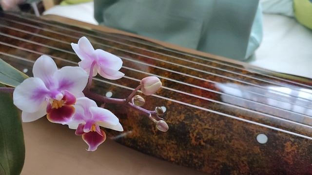 Пьеса на гуцине "Слушать шум дождя на полпути в гору"/ ? смотреть онлайн