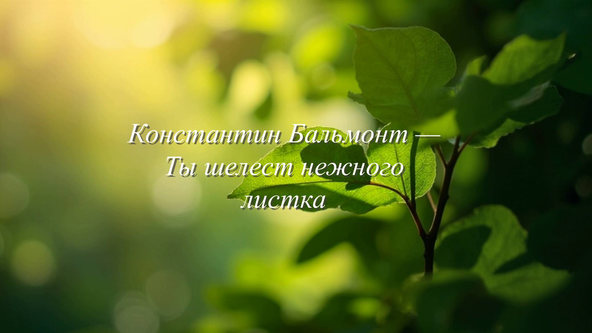 Стихи