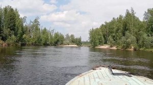 летняя тайга.