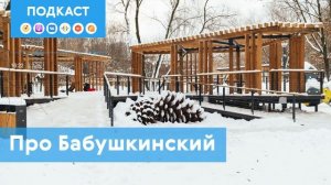 Бабушкинский: район с самым «семейным» названием | Под