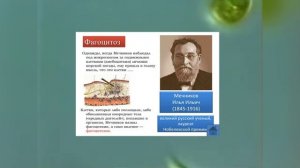 Происхождение многоклеточных организмов