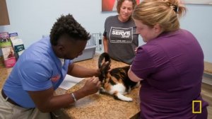 Veteran Pets (Full Episode) | Critter Fixers | Nat Geo Animals