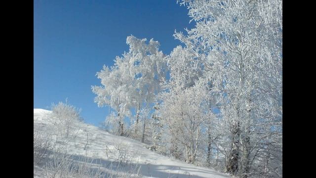 Женщина, это мой дом, здесь я решаю, кому и сколько шуме смотреть онлайн