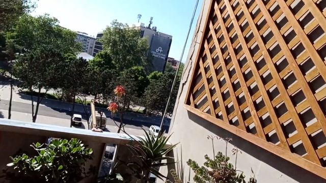 Мир труд май!!! Поздравляю мои дорогие с 1 мая!!! Всем здо смотреть онлайн