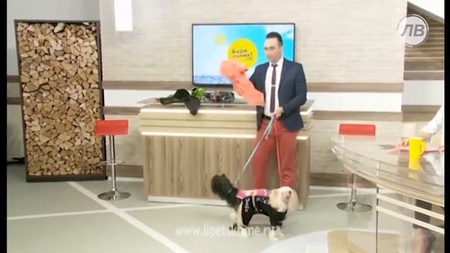 видео "Будильник Эфир от 20 февраля 2018 года" смотреть онлайн