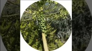 Рита Марсо. Мой сын уже совсем взрослый))😍😍😍