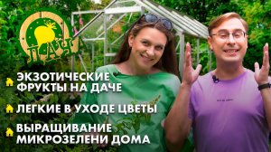 Тропический сад на даче | Неприхотливые цветы для простого ухода | Микрозелень на подоконнике. Дача