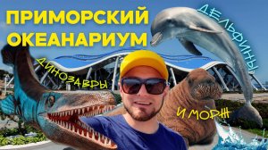 ОКЕАНАРИУМ ПРИМОРЬЯ - ЭКСКУРСИЯ В МИР МОРЕЙ | ДЕЛЬФИНАРИЙ ВЛАДИВОСТОК