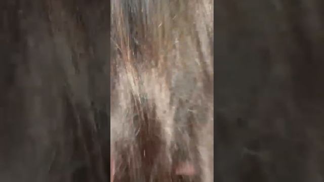 ВЕРНУТЬ НАТУРАЛЬНЫЙ ЦВЕТ ВОЛОС 🤗🥰😍🙏👍🎈 смотреть онлайн