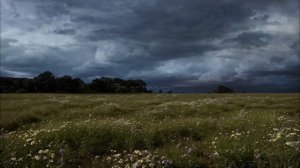 -Dhruv Rathod- Playlist