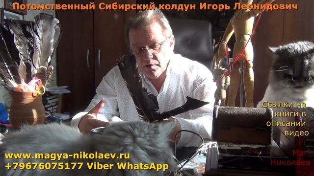 Приворот самостоятельно на ворону "Кар-Кар".