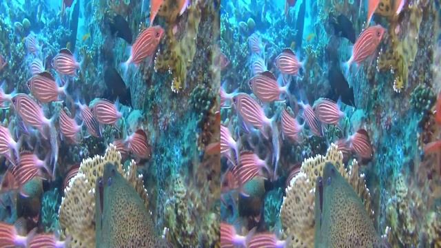 Баржа 3D смотреть онлайн