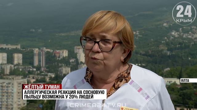 Жёлтый туман: на Южном берегу Крыма начался сезон «цветения» сосны